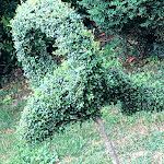 Photo n°6 de l'avis de Paola.i fait le 06/09/2020 à 18:55 sur le  Villa Porro Pirelli à Induno Olona