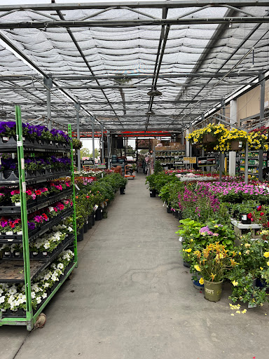 The Home Depot image