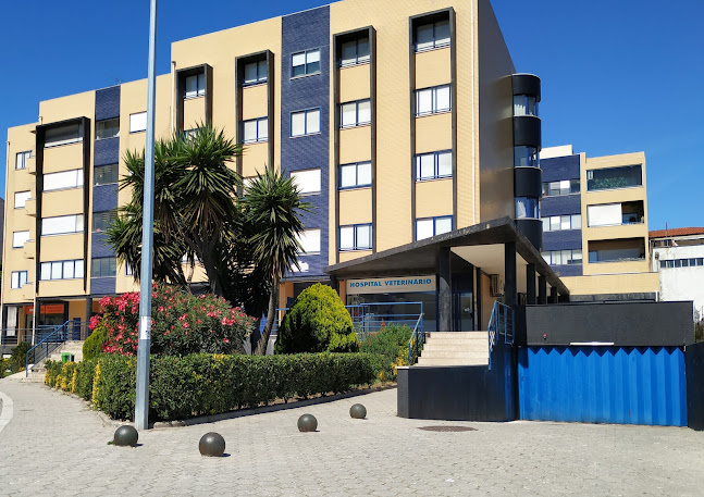 Hospital Veterinário de Santa Marinha - Hospital