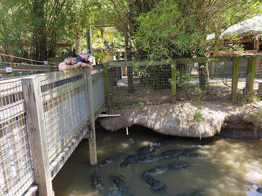 Sightseeing Tour Agency «Wild Willys Airboat Tours», reviews and photos, 4715 Kissimmee Park Rd, St Cloud, FL 34772, USA