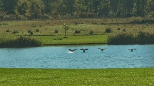 Park «Willow Metropark», reviews and photos, 23200 S Huron Rd, New Boston, MI 48164, USA