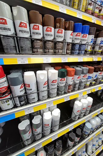 Hardware Store «Deland Ace Hardware», reviews and photos, 245 S Woodland Blvd, DeLand, FL 32720, USA