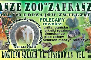 ,,Nasze Zoo" / Gospodarstwo Rolno Agroturystyczne ,, Ranczo Natii" image