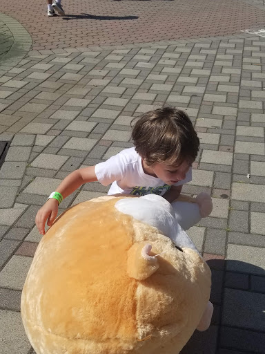 Amusement Park «Bowcraft», reviews and photos, 2545 US-22, Scotch Plains, NJ 07076, USA