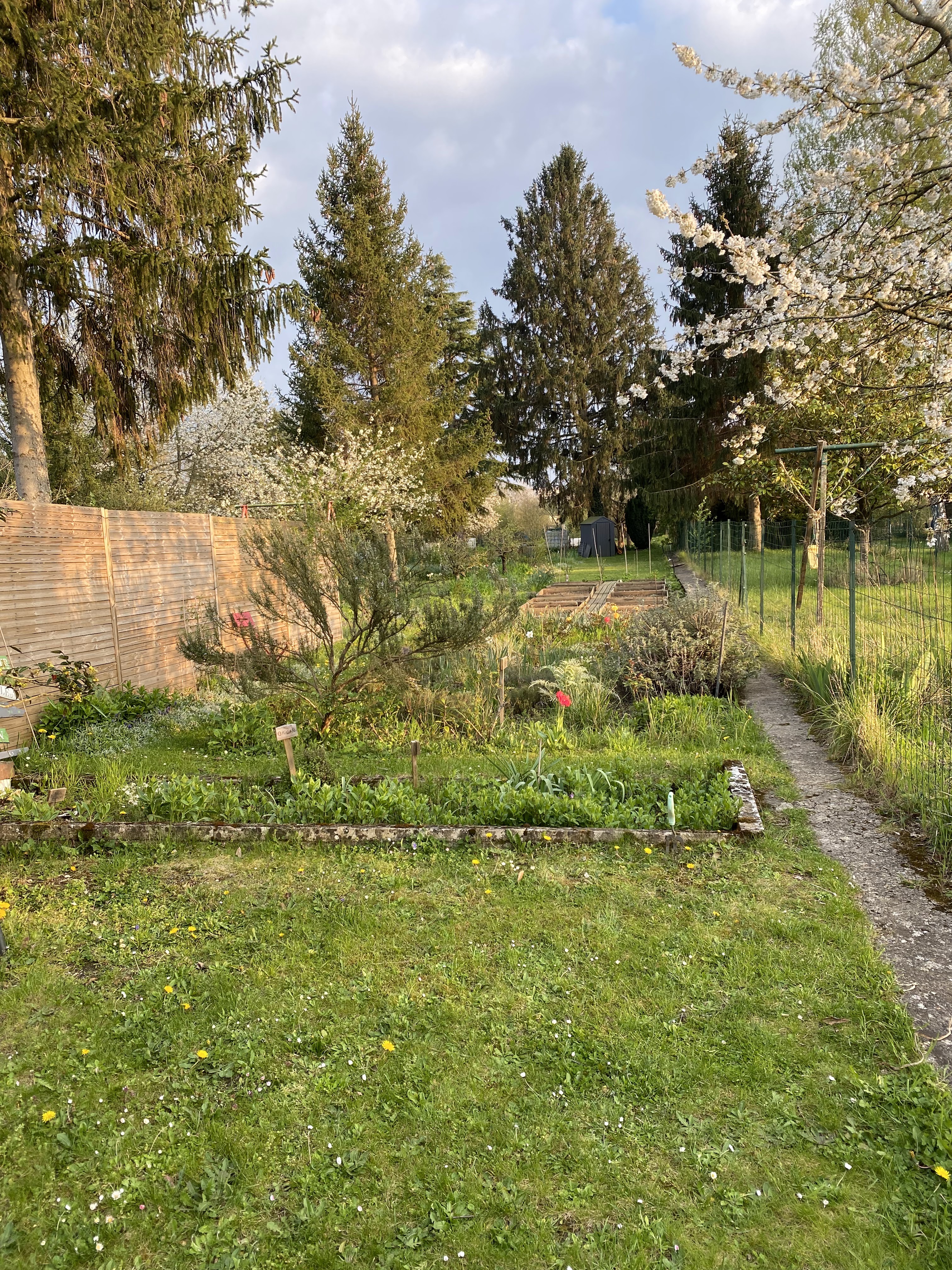 Photo n° 2 de l'avis de Sebastien.o fait le 21/04/2023 à 09:29