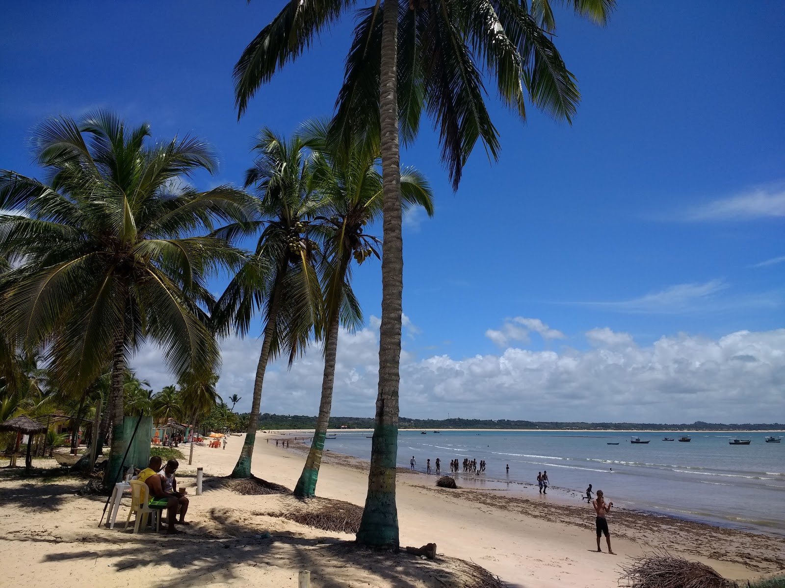 Praia de Coroa Vermelha photo #7