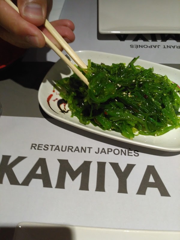 Imagen de Restaurant Kamiya (22 de 30)
