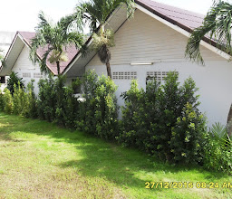 Surf Hostel photo