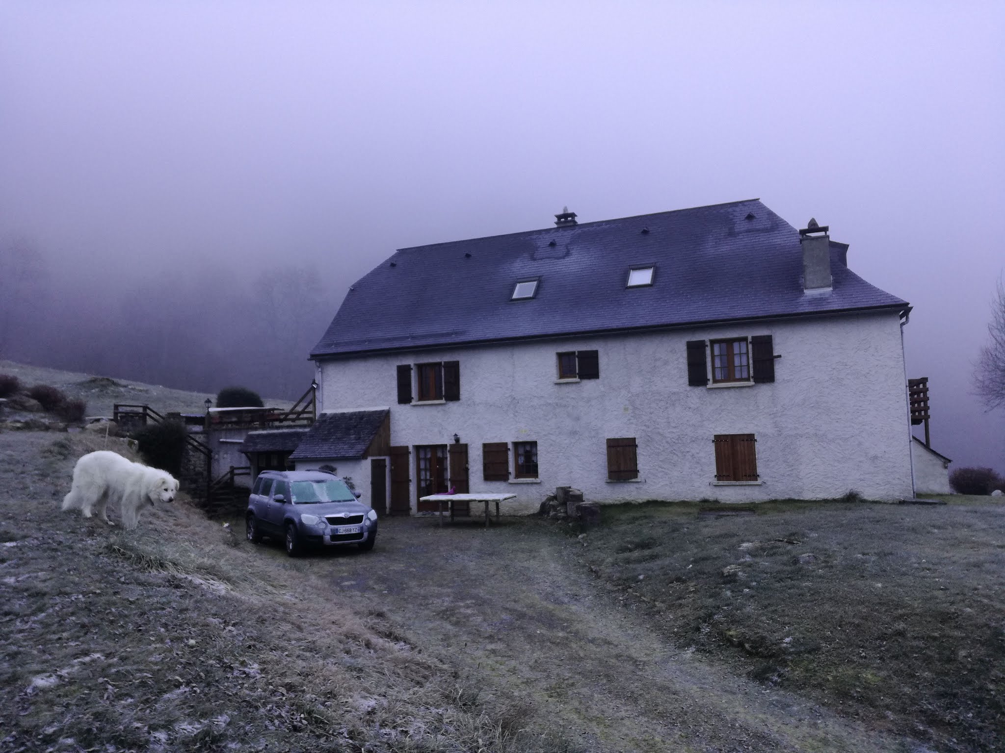 Photo n° 7 de l'avis de SLE.a fait le 03/01/2019 à 08:57
