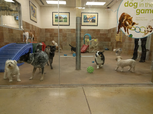 Pet Supply Store «PetSmart», reviews and photos, 300 NJ-18, East Brunswick, NJ 08816, USA