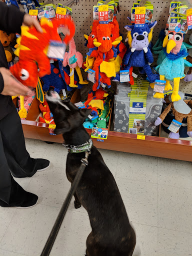 Pet Supply Store «PetSmart», reviews and photos, 430 NW Eastman Pkwy, Gresham, OR 97030, USA