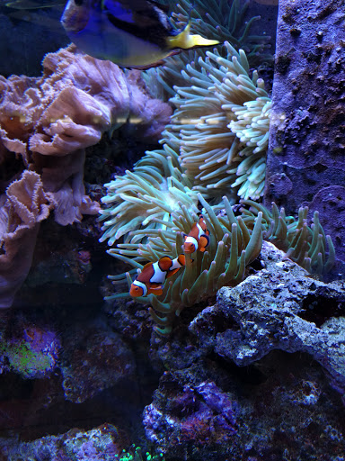 Car Wash «The Finish Line Car Wash», reviews and photos, 2900 Bee Cave Rd, Austin, TX 78746, USA