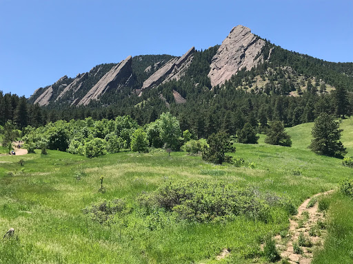 Real Estate Attorney «Law Office of James Newell», reviews and photos