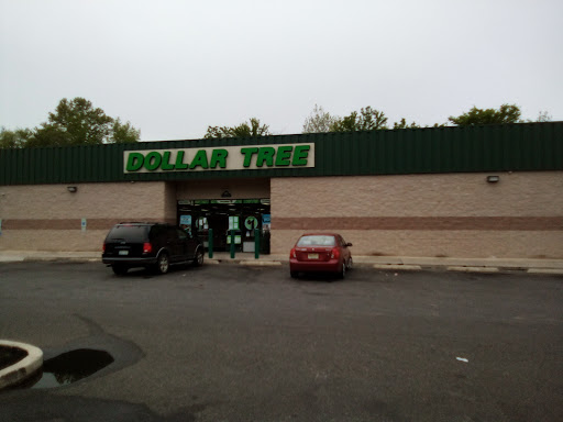 Dollar Store «Dollar Tree», reviews and photos, 399 E Broad St, Bridgeton, NJ 08302, USA