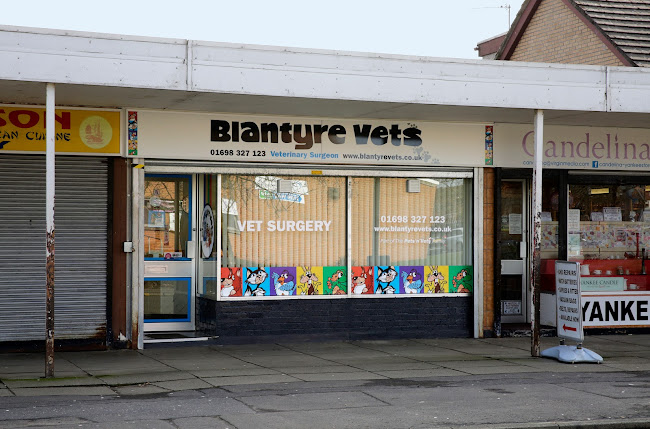 Pets'n'Vets in Blantyre - Veterinarian