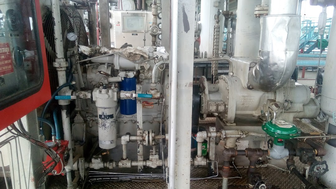 Niger Delta Gas Flow Station