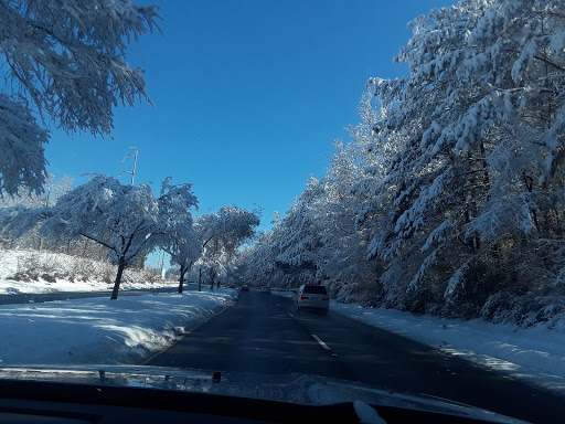 Golf Club «Fox Creek Golf Course & Driving Range», reviews and photos, 1501 Windy Hill Rd SE, Smyrna, GA 30080, USA