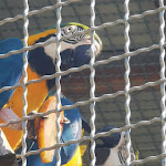 Photo n°12 de l'avis de Sabrina.o fait le 12/06/2023 à 07:09 sur le  Tier-Erlebnispark Bell à Bell