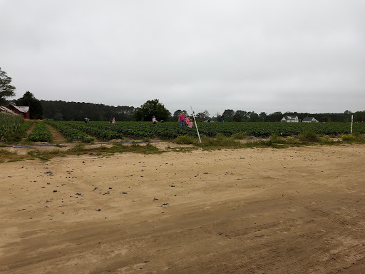 Fruit and Vegetable Store «Henley Farm», reviews and photos, 3513 Charity Neck Rd, Virginia Beach, VA 23456, USA