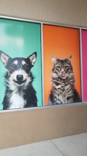 Pet Supply Store «PetSmart», reviews and photos, 5722 Fairmont Pkwy, Pasadena, TX 77505, USA