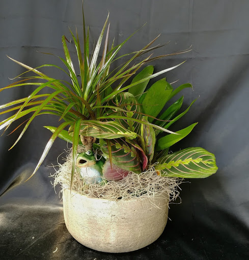 Florist «Flower Hut», reviews and photos, 6300 E Independence Blvd, Charlotte, NC 28212, USA