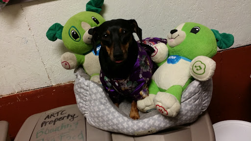 Dog Day Care Center «Animal Resorts», reviews and photos, 1625 Louisville Rd, Frankfort, KY 40601, USA