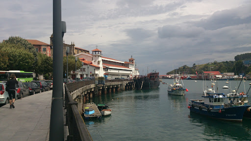 Artza Udal Frontoia en Bermeo, Vizcaya