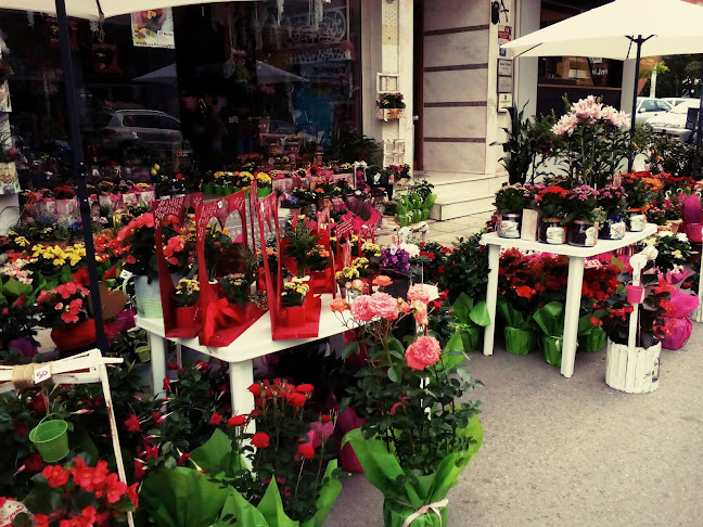Ανθοπωλείο Rose Gallery - Θεσσαλονίκη