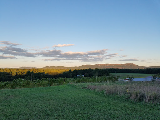 Vineyard «Black Birch Vineyard/ Black Birch Winery», reviews and photos, 108-109 Straits Rd, Hatfield, MA 01066, USA