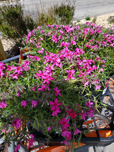 Home Improvement Store «The Home Depot», reviews and photos, 140 Countryside Plaza, Countryside, IL 60525, USA