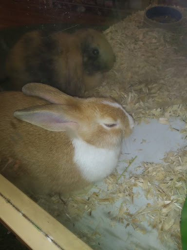 Pet Supply Store «Pet Supermarket», reviews and photos, 1629 Perry Hill Rd, Montgomery, AL 36106, USA