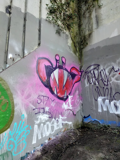 Park «Schmitz Preserve Park», reviews and photos, 5551 SW Admiral Way, Seattle, WA 98116, USA