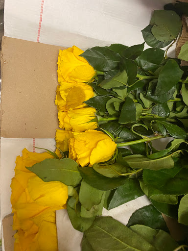 Wholesale Florist «Travis Wholesale Florists», reviews and photos, 240 W Josephine St, San Antonio, TX 78212, USA