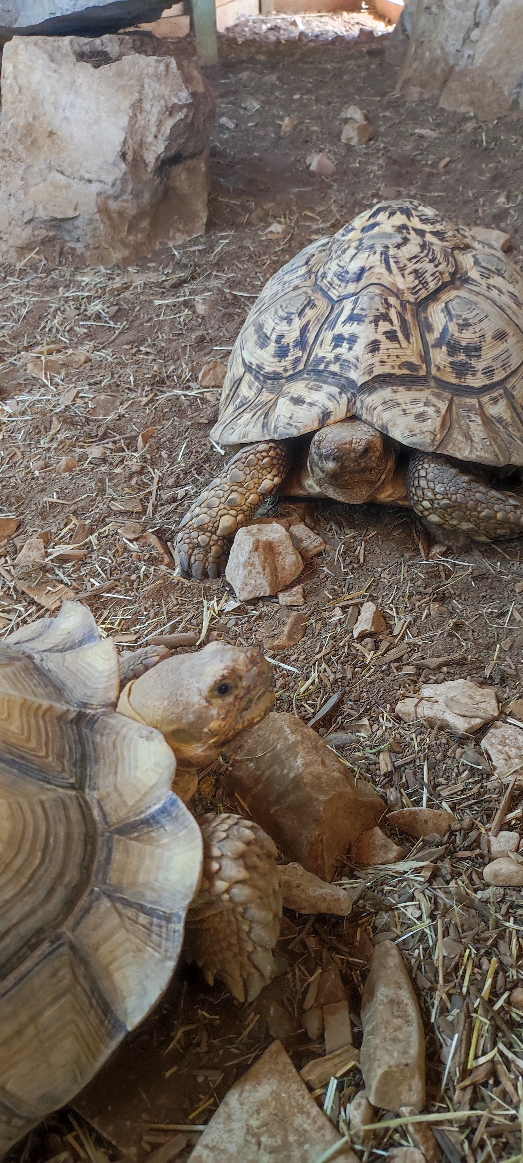 Photo n° 2 de l'avis de Léa.a fait le 07/09/2023 à 11:37