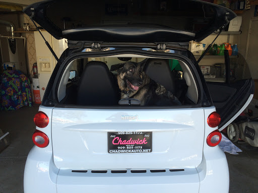 Used Car Dealer «Chadwick Auto Wholesale», reviews and photos, 1630 W Valley Blvd, Colton, CA 92324, USA