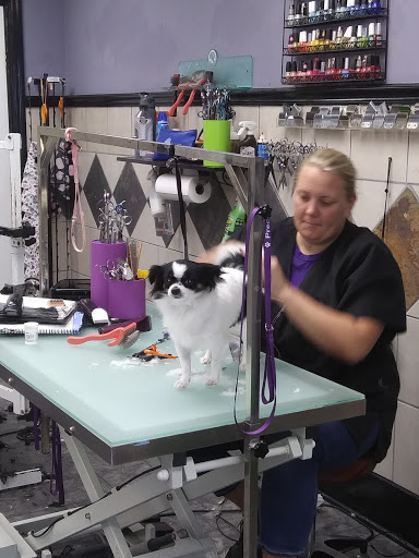 Pet Groomer «Precious Paws», reviews and photos, 221 N Marble St, Rockmart, GA 30153, USA