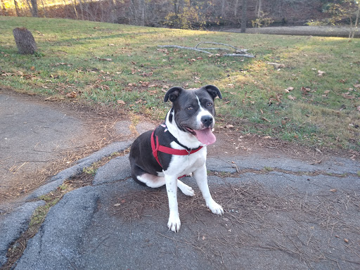 Golf Course «Steele Creek Park Golf Course», reviews and photos, 20 Little Ln, Bristol, TN 37620, USA