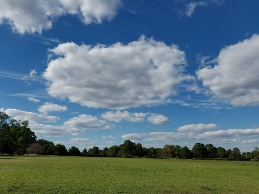 Golf Course «Hominy Hill Golf Course», reviews and photos, 92 Mercer Rd, Colts Neck, NJ 07722, USA