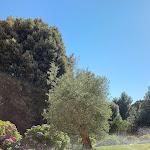 Photo n°2 de l'avis de Maria.a fait le 14/08/2021 à 16:21 sur le  Hotel Orlando à Villagrande Strisaili