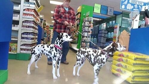 Pet Supply Store «Atlas Pet Supply», reviews and photos, 17375 US-10, Elk River, MN 55330, USA