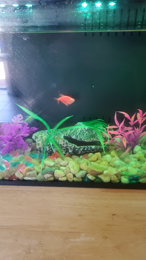 Animal Feed Store «Franklin Hardware & Pet Center», reviews and photos, 1975 Philadelphia Ave, Chambersburg, PA 17201, USA