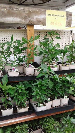 Grocery Store «Diamond Fresh Farmers Market», reviews and photos, 21168 Golden Springs Dr, Walnut, CA 91789, USA