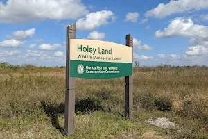 Holey Land Wildlife Management Area image