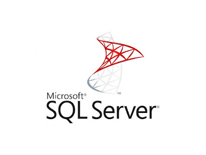 PI SQL Server Support specialising in SQL Server, MS Access Databases and Microsoft Office