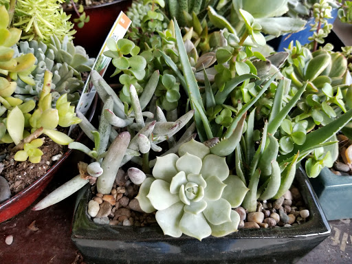 Home Improvement Store «The Home Depot», reviews and photos, 750 N University Dr, Coral Springs, FL 33071, USA