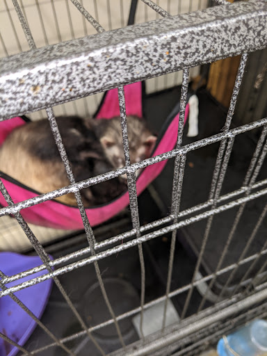 Pet Supply Store «Pet Supplies Plus», reviews and photos, 1155 Washington Pike, Bridgeville, PA 15017, USA