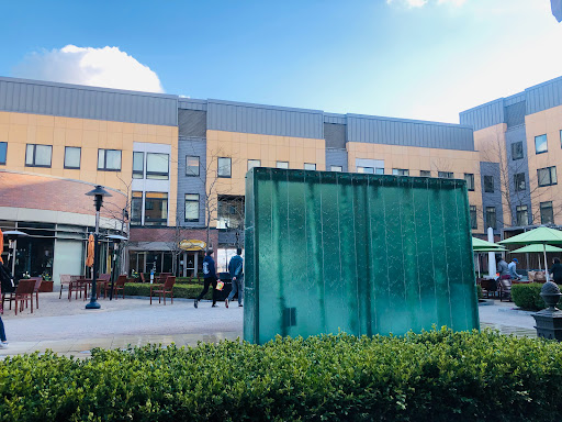 University «Rochester Institute of Technology», reviews and photos