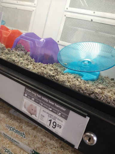 Pet Supply Store «Petco Animal Supplies», reviews and photos, 1591 Sloat Blvd, San Francisco, CA 94132, USA