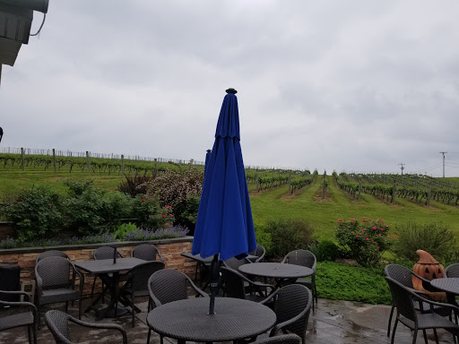 Winery «Fero Vineyards and Winery», reviews and photos, 965 JPM Rd, Lewisburg, PA 17837, USA
