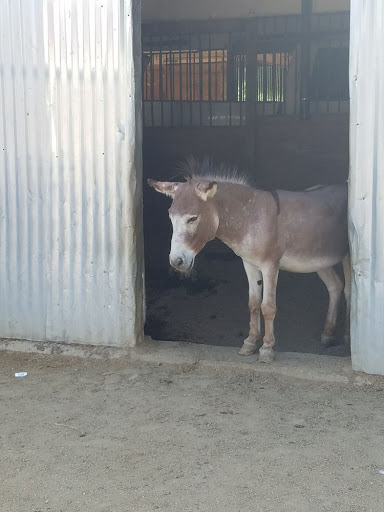 Park «Montebello Barnyard Zoo», reviews and photos, 600 Rea Dr, Montebello, CA 90640, USA